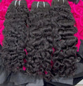 Starlight Burmese Curl (DS)